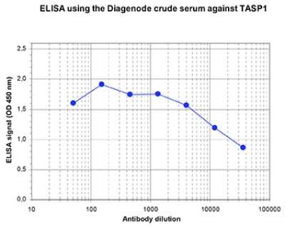 ELISA: TASP1 Antibody [NBP3-18680]